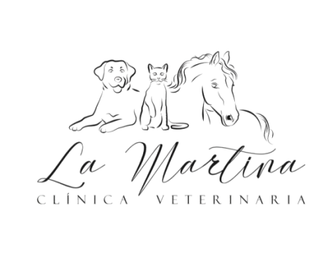 LOGO_CLINICA_BLANCO-removebg-preview 1